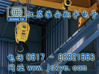 起重限制保護系統(tǒng)廠家江蘇淮安翔宇電子測控自動化起重機超載限制器 起重超載限制器保護系統(tǒng)安全可靠堅固耐用 更多起重機起重限制器就在www.12761.com.cn 電話0517-83321553