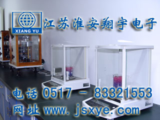 江蘇共創(chuàng)訂購江蘇淮安翔宇電子秤 電子臺(tái)秤 高精度電子天平